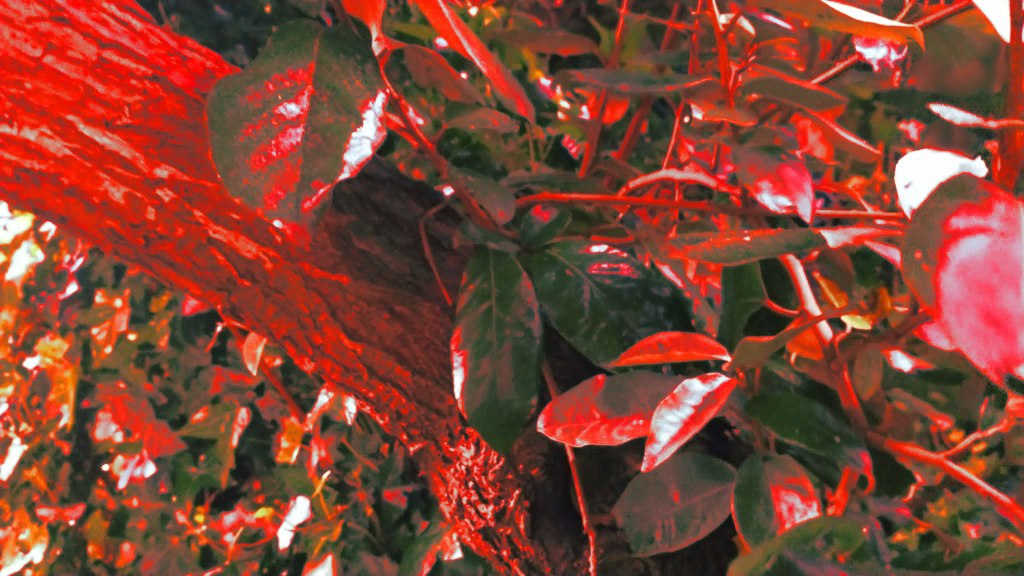 Chronicles of Sanctuary Bay event banner. A close-up of foleage, tinted with blood.